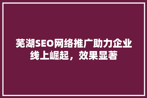 芜湖SEO网络推广助力企业线上崛起，效果显著