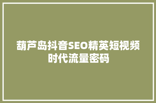 葫芦岛抖音SEO精英短视频时代流量密码