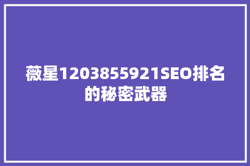 薇星1203855921SEO排名的秘密武器