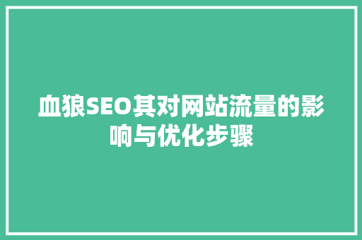 血狼SEO其对网站流量的影响与优化步骤