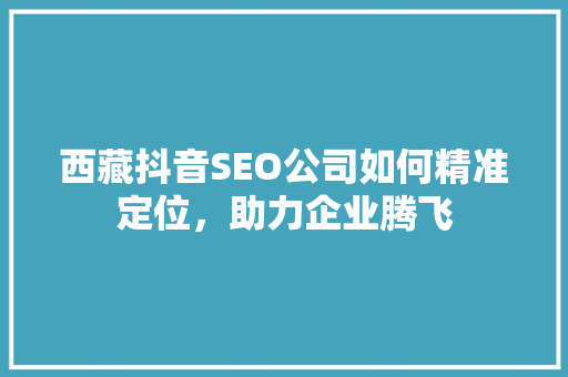 西藏抖音SEO公司如何精准定位，助力企业腾飞