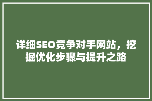 详细SEO竞争对手网站，挖掘优化步骤与提升之路
