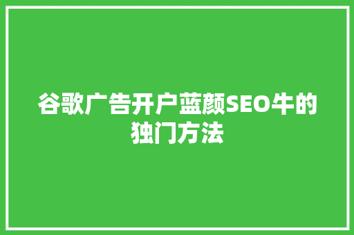 谷歌广告开户蓝颜SEO牛的独门方法