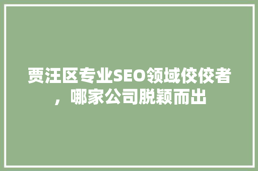贾汪区专业SEO领域佼佼者，哪家公司脱颖而出