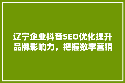 辽宁企业抖音SEO优化提升品牌影响力，把握数字营销新风口