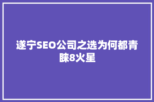 遂宁SEO公司之选为何都青睐8火星