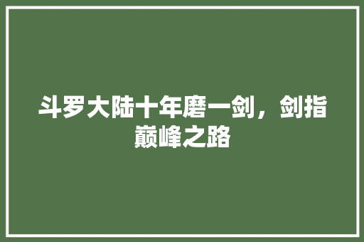 斗罗大陆十年磨一剑，剑指巅峰之路