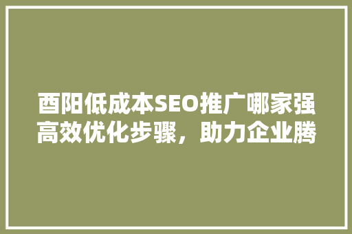 酉阳低成本SEO推广哪家强高效优化步骤，助力企业腾飞