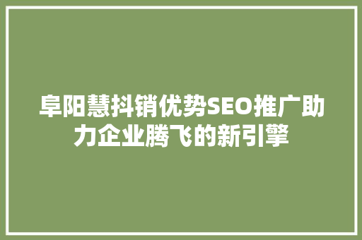 阜阳慧抖销优势SEO推广助力企业腾飞的新引擎