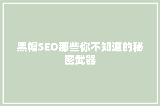 黑帽SEO那些你不知道的秘密武器