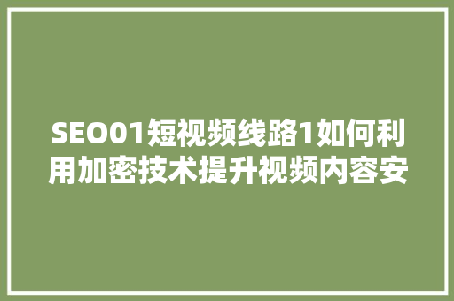 SEO01短视频线路1如何利用加密技术提升视频内容安全与传播效果