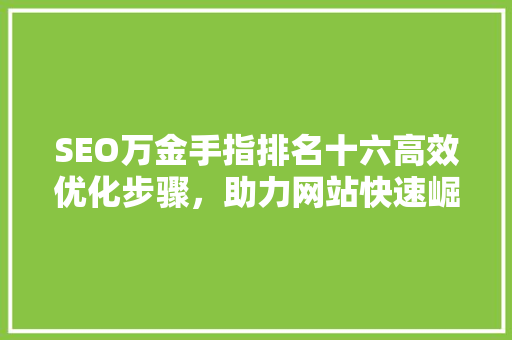 SEO万金手指排名十六高效优化步骤，助力网站快速崛起  第1张