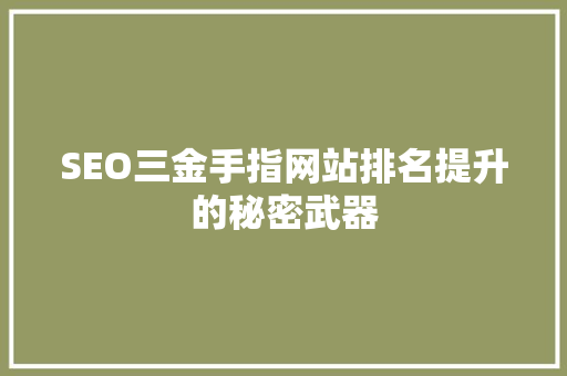 SEO三金手指网站排名提升的秘密武器