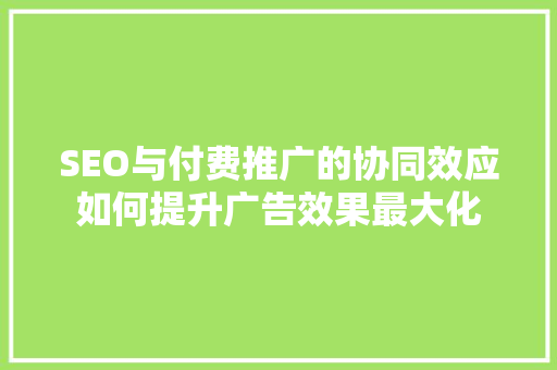 SEO与付费推广的协同效应如何提升广告效果最大化  第1张
