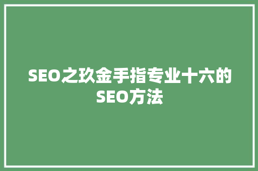 SEO之玖金手指专业十六的SEO方法
