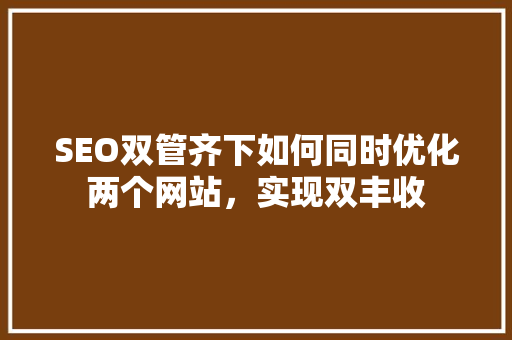 SEO双管齐下如何同时优化两个网站，实现双丰收