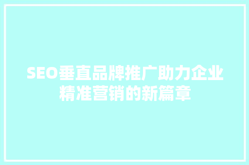 SEO垂直品牌推广助力企业精准营销的新篇章  第1张