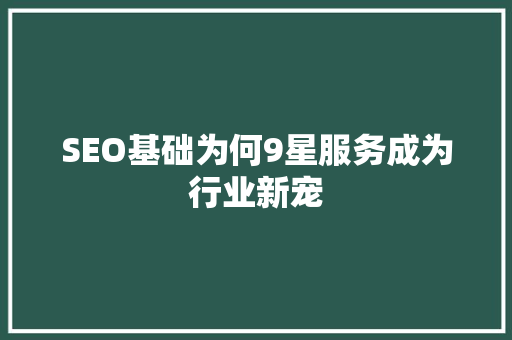 SEO基础为何9星服务成为行业新宠