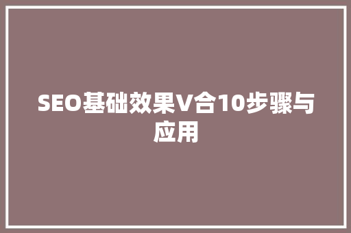 SEO基础效果V合10步骤与应用  第1张
