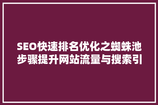 SEO快速排名优化之蜘蛛池步骤提升网站流量与搜索引擎排名的方法