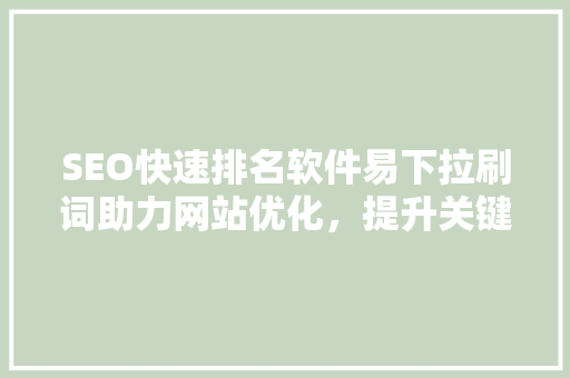 SEO快速排名软件易下拉刷词助力网站优化，提升关键词排名之路