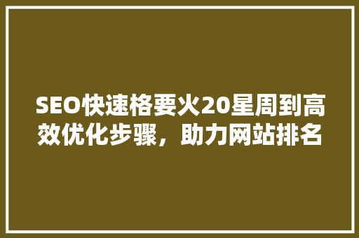 SEO快速格要火20星周到高效优化步骤，助力网站排名攀升  第1张
