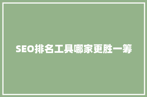 SEO排名工具哪家更胜一筹  第1张