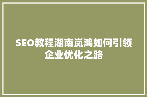 SEO教程湖南岚鸿如何引领企业优化之路  第1张