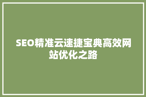 SEO精准云速捷宝典高效网站优化之路