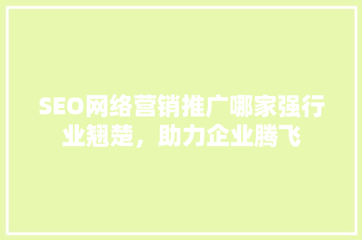SEO网络营销推广哪家强行业翘楚，助力企业腾飞  第1张