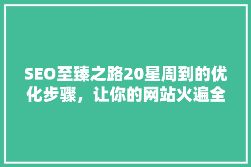 SEO至臻之路20星周到的优化步骤，让你的网站火遍全网