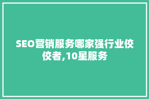 SEO营销服务哪家强行业佼佼者,10星服务