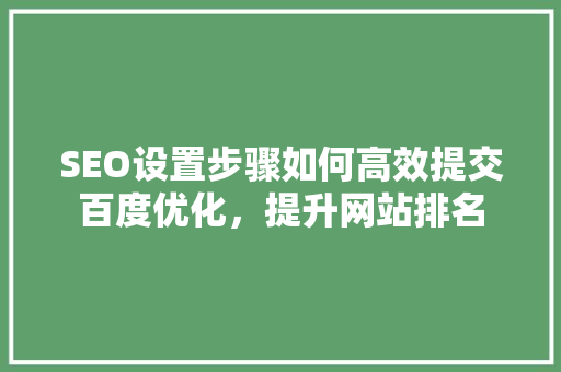 SEO设置步骤如何高效提交百度优化，提升网站排名