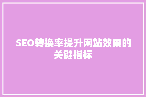 SEO转换率提升网站效果的关键指标  第1张