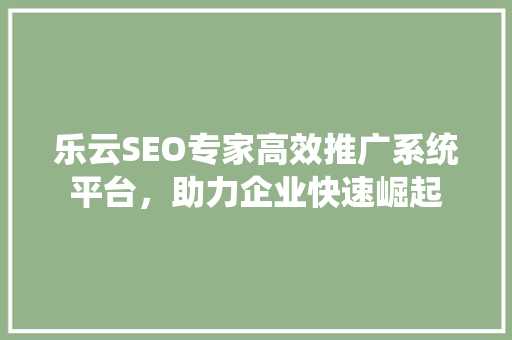 乐云SEO专家高效推广系统平台，助力企业快速崛起