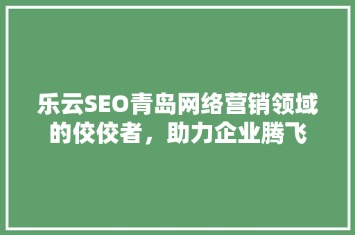 乐云SEO青岛网络营销领域的佼佼者，助力企业腾飞