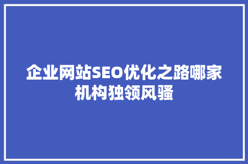 企业网站SEO优化之路哪家机构独领风骚