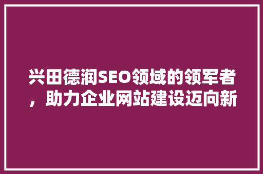 兴田德润SEO领域的领军者，助力企业网站建设迈向新高度