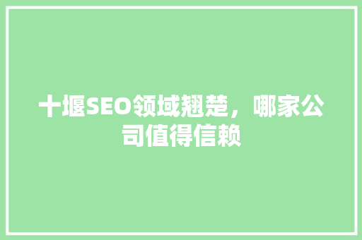 十堰SEO领域翘楚，哪家公司值得信赖