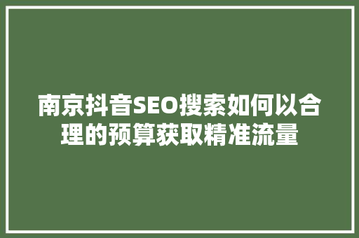 南京抖音SEO搜索如何以合理的预算获取精准流量