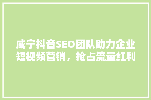 咸宁抖音SEO团队助力企业短视频营销，抢占流量红利