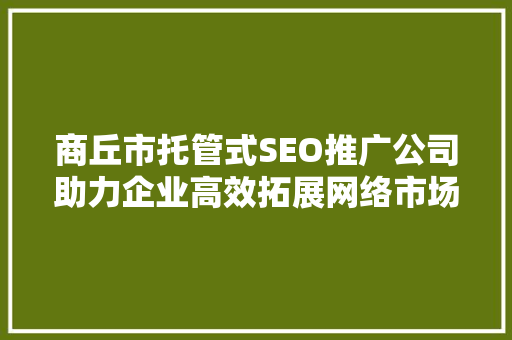 商丘市托管式SEO推广公司助力企业高效拓展网络市场
