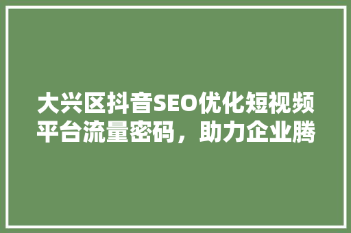 大兴区抖音SEO优化短视频平台流量密码，助力企业腾飞