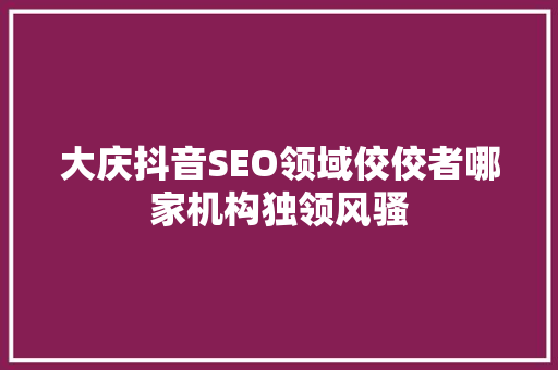 大庆抖音SEO领域佼佼者哪家机构独领风骚