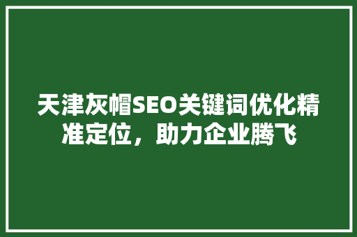 天津灰帽SEO关键词优化精准定位，助力企业腾飞