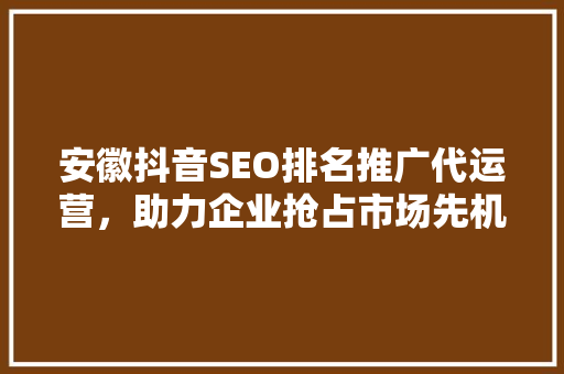 安徽抖音SEO排名推广代运营，助力企业抢占市场先机  第1张