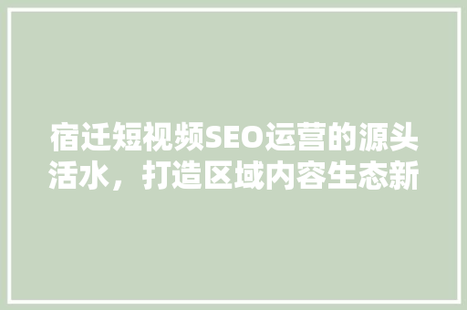 宿迁短视频SEO运营的源头活水，打造区域内容生态新高度