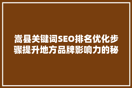 嵩县关键词SEO排名优化步骤提升地方品牌影响力的秘密武器