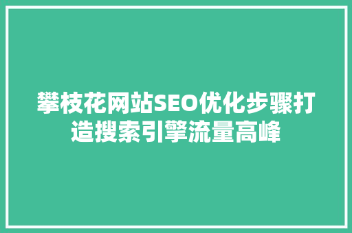 攀枝花网站SEO优化步骤打造搜索引擎流量高峰
