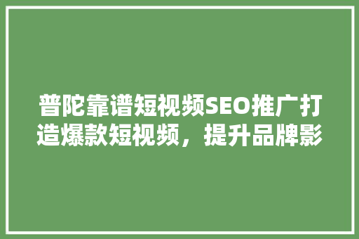 普陀靠谱短视频SEO推广打造爆款短视频，提升品牌影响力